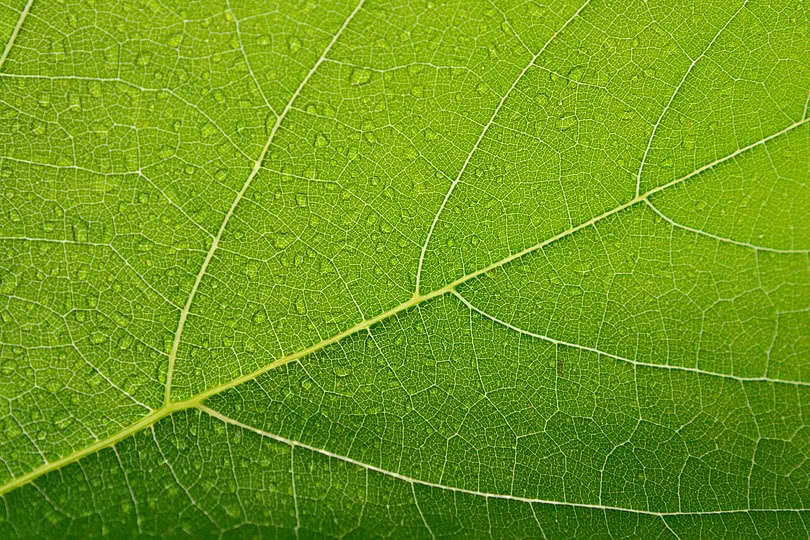 Imaginer la transition énergétique